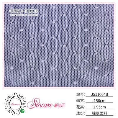 J511004B