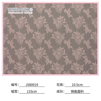 J580019
