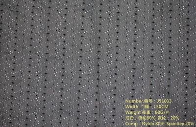 J51003