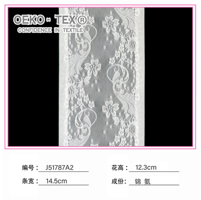 J51787A2